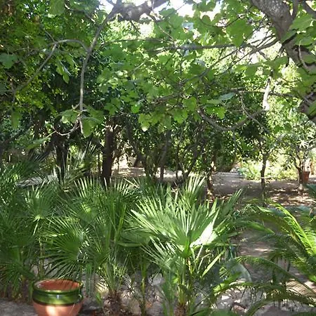 Apartment Famiglia Pinna - Sa Domu Antiga -